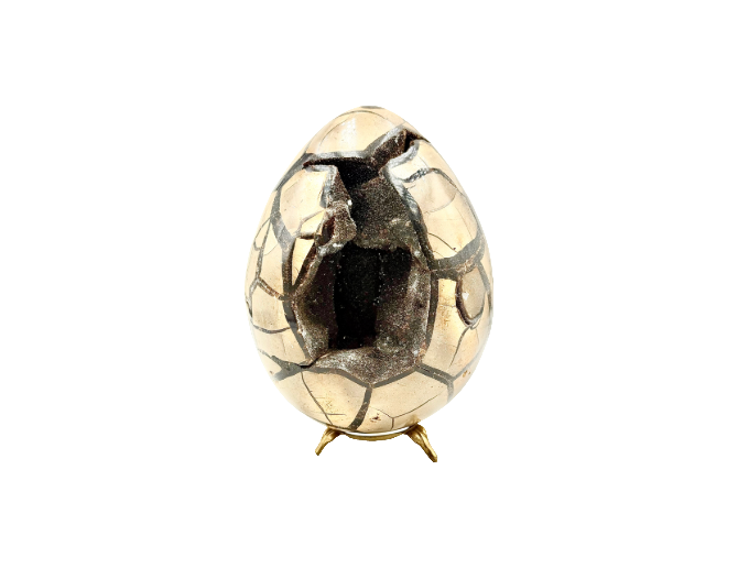 Huevo septaria